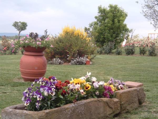 Agriturismo I Romiti Castiglione del Lago Exterior foto