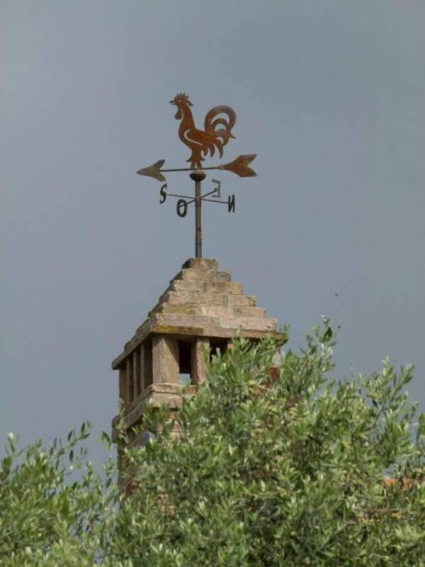 Agriturismo I Romiti Castiglione del Lago Exterior foto